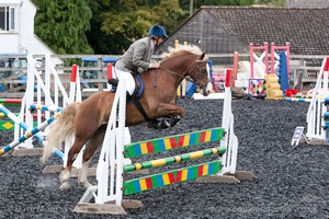 Class 7 - Fences 3' to 3'3